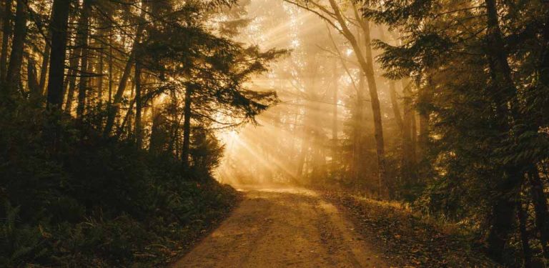One's mind has a way of making itself up in the background, and it suddenly becomes clear what one means to do. A. C. Benson