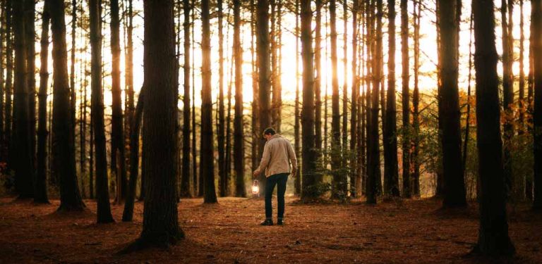 Mistakes are the portals of discovery. by James Joyce