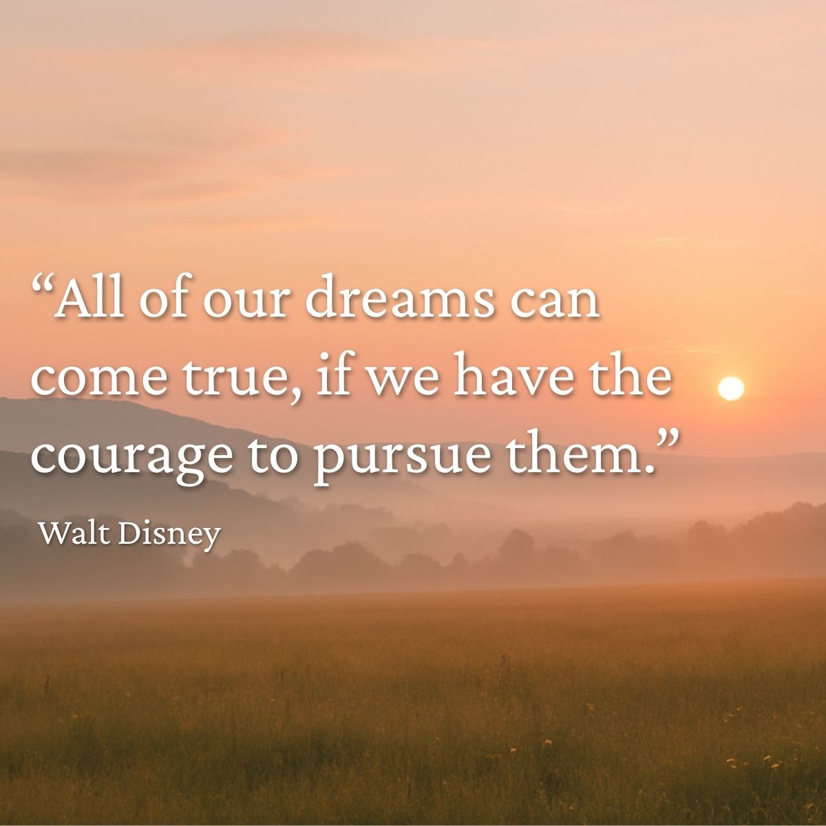 "All of our dreams can come true, if we have the courage to pursue them." Walt Disney quote