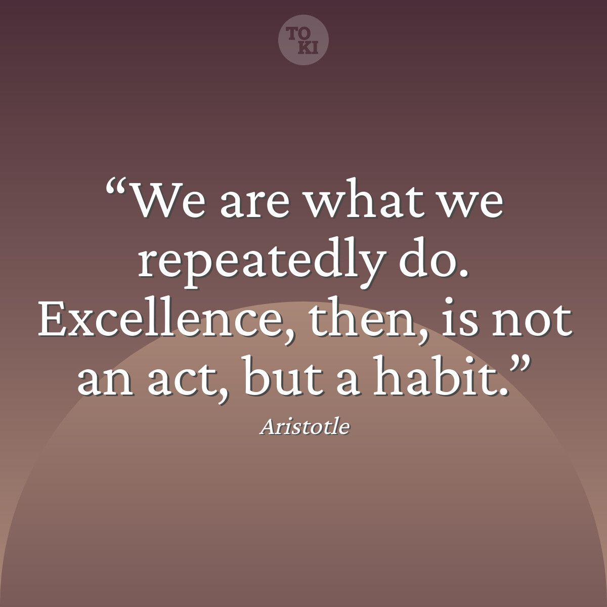 We are what we repeatedly do. Excellence, then, is not an act, but a habit. - Aristotle Quote