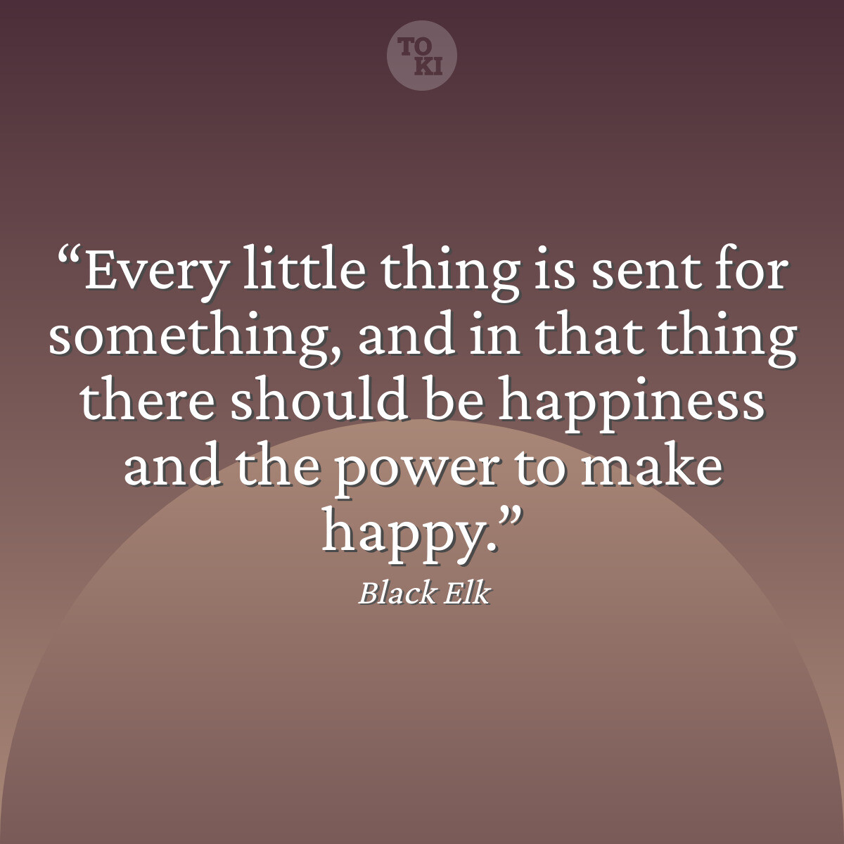 Every little thing is sent for something, and in that thing there should be happiness and the power to make happy. - Black Elk Quote
