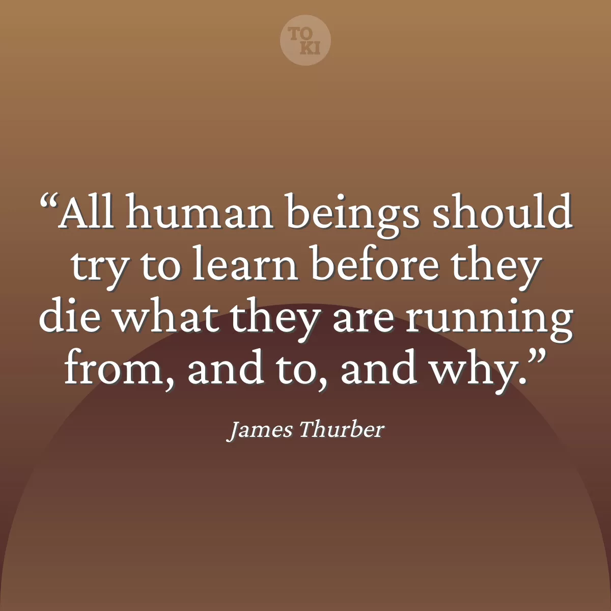 All human beings should try to learn before they die what they are running from, and to, and why. - James Thurber Quote