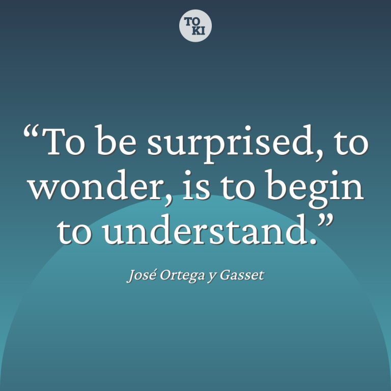 To be surprised, to wonder, is to begin to understand. - José Ortega y Gasset Quote